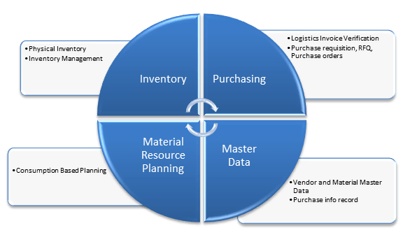 How to become a Successful SAP Consultant