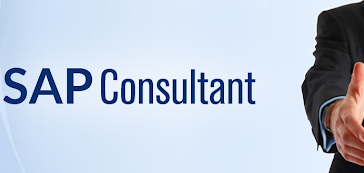 How to become a Successful SAP Consultant