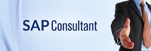 How to become a Successful SAP Consultant