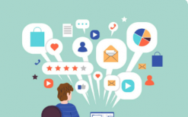 Oracle HCM professional